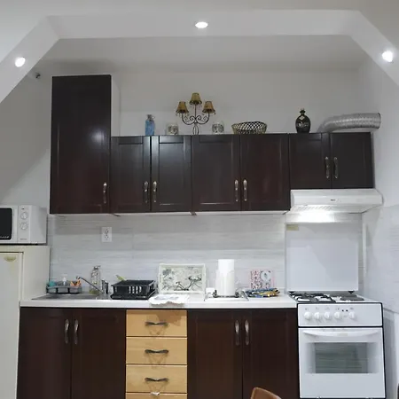 Nikodijevic * Vrsac