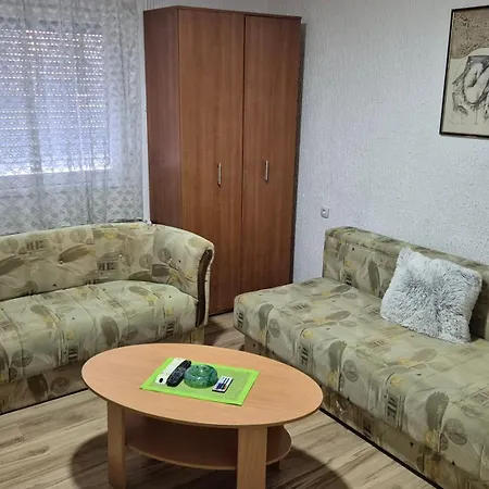 Apartment Nikodijevic Vrsac
