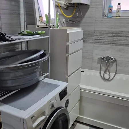 Apartment Nikodijevic Vrsac