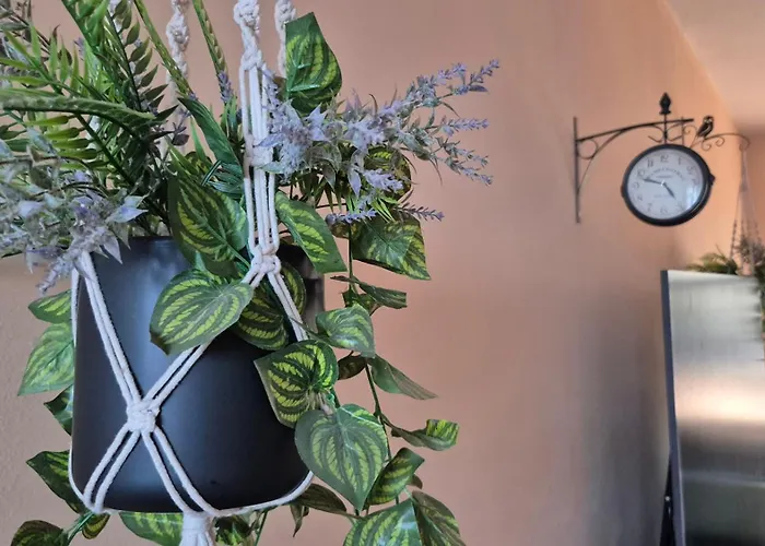 Apartamento Nikodijevic Vrsac