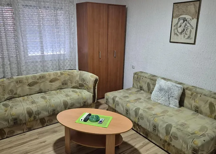 Apartamento Nikodijevic Vrsac